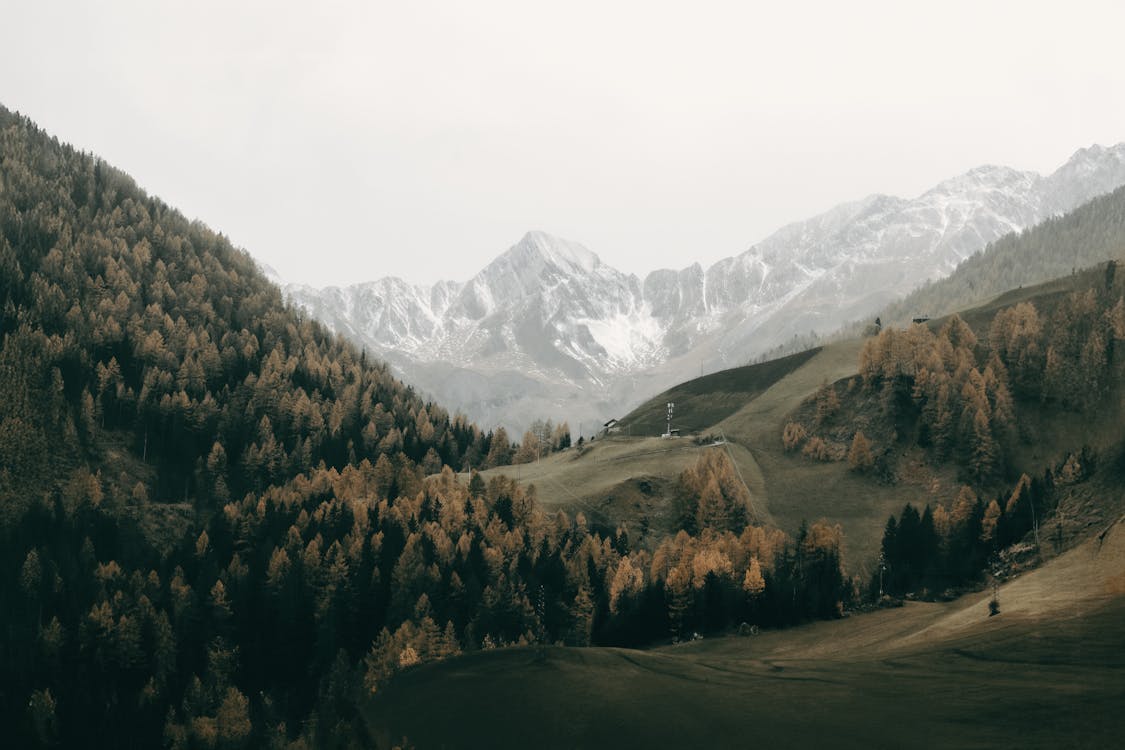 Гарантия